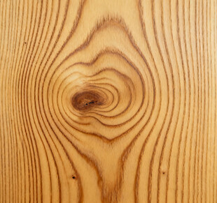 木纹特写