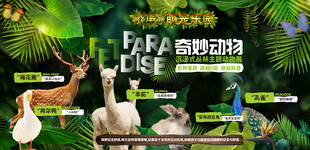 多样萌宠齐聚奇幻森林