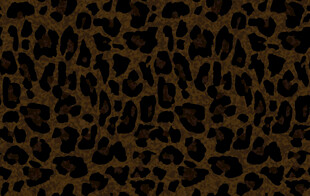 豹纹图案纹理背景
