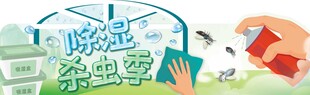 家庭除虫妙招展示