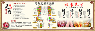 足疗足部反射区
