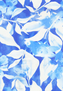 扫描蓝白水彩风叶片照片