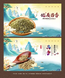 茴香海报