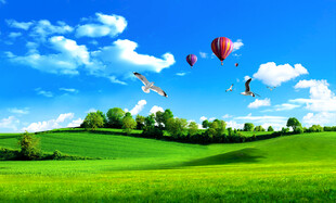 蓝天白云大草原