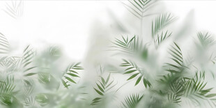 清新绿植背景图