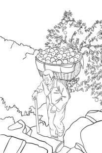 山间挑着一筐脐橙的劳动者