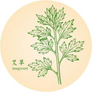 手绘清新艾草中药材草本植物图案