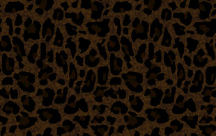 豹纹图案背景纹理