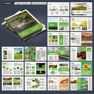 农产品宣传册