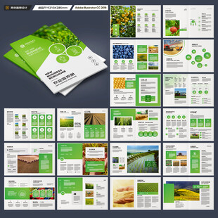 农产品宣传册