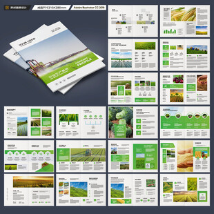农产品宣传册