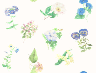 水彩花卉图案设计素材