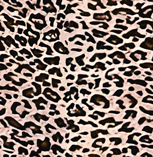 数码印花豹纹