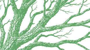 绿树枝干抽象纹理图案