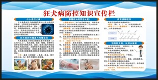 世界狂犬病日宣传栏