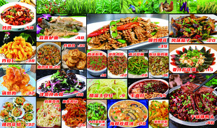 多样美食拼盘展示