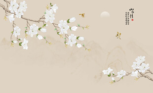 新中式工笔花鸟画背景墙