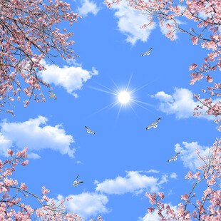 春日蓝天繁花飞鸟美景