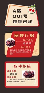 樱桃介绍标牌