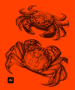 大闸蟹插画