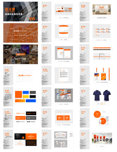 商业金融行业企业VIS