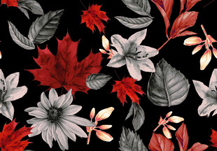 花卉枫叶黑色背景图案