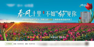 遇见田野间的绚烂花海