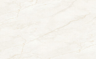 现代 简奢豪华石纹 高雅大图 