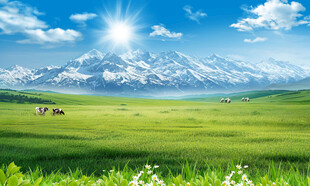 蓝天白云大草原背景墙