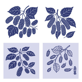 紫色桑葚水果图案设计素材