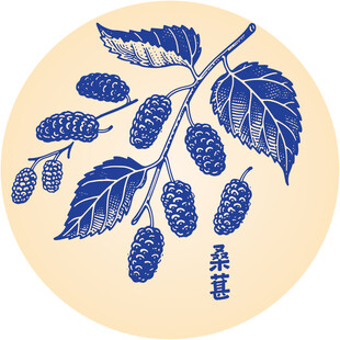 手绘中式桑葚图案设计