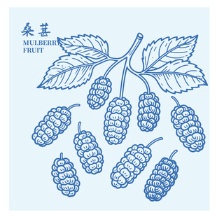 手绘桑葚图案设计素材