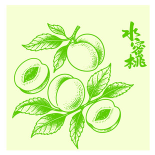 手绘水蜜桃插画