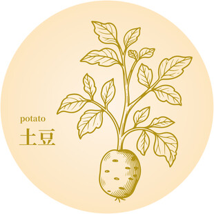 手绘土豆植物图案