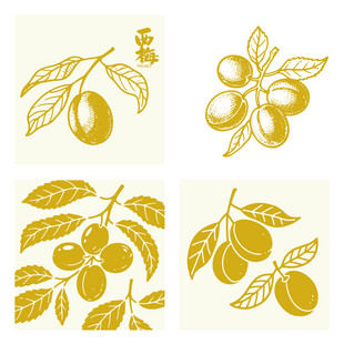 手绘西梅插画矢量图