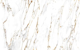 鱼肚金大理石石纹