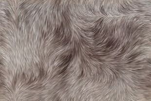 浅灰色毛绒纹理特写