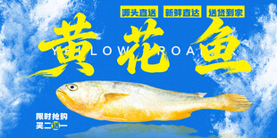 黄花鱼 