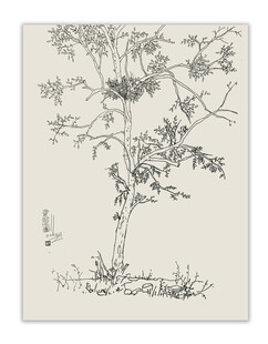 338国道旁的国槐魏会超原创