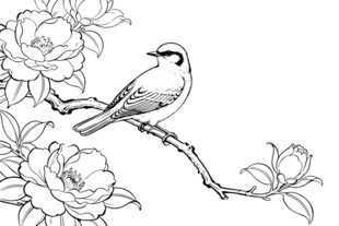 中式花鸟山水线稿图