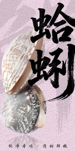 蛤蜊 