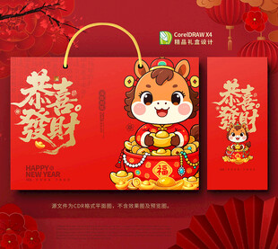 春节包装 年货礼盒