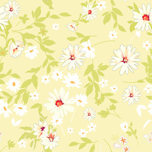 清新雏菊花卉图案背景