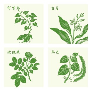 防己玫瑰果何首乌白芨中药材