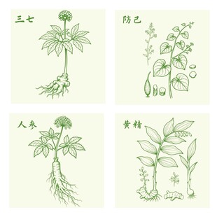三七防己人参黄精中药材
