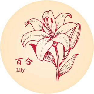 手绘百合图案优雅花卉风