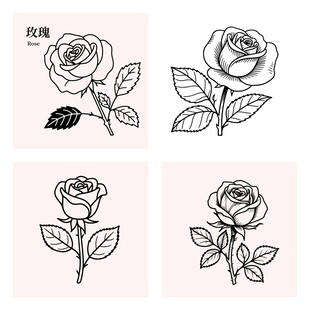 手绘线条玫瑰花图案集合