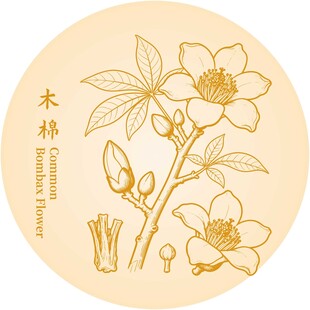 木棉花图案设计