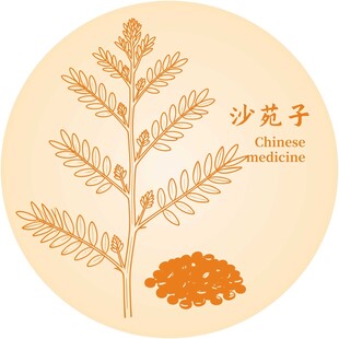 沙苑子植物与药材图示