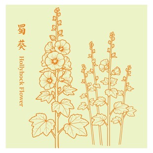 蜀葵花卉线描图案